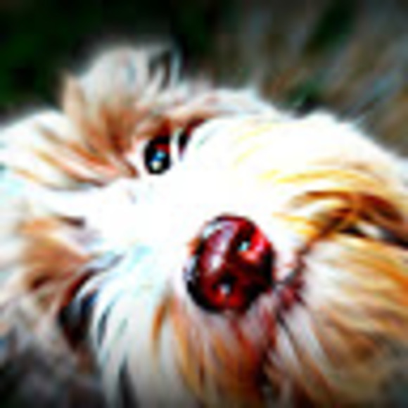 Meet your Posher, Calypso breeze - Picture 1 of 1